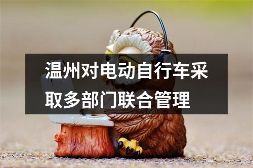 温州对电动自行车采取多部门联合管理