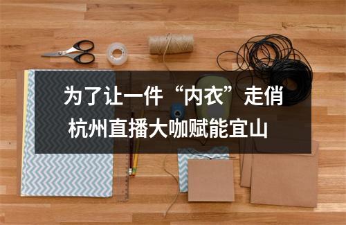 为了让一件“内衣”走俏 杭州直播大咖赋能宜山