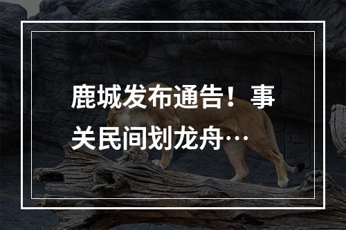鹿城发布通告！事关民间划龙舟…