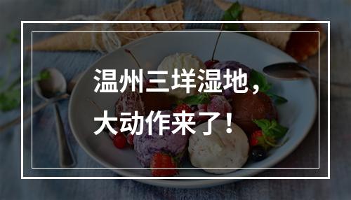 温州三垟湿地，大动作来了！