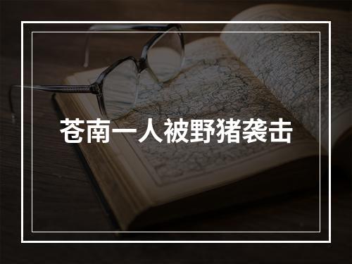 苍南一人被野猪袭击