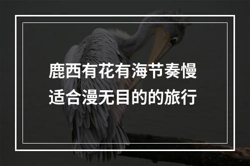 鹿西有花有海节奏慢 适合漫无目的的旅行