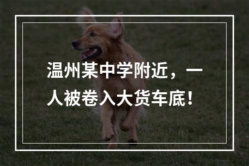 温州某中学附近，一人被卷入大货车底！