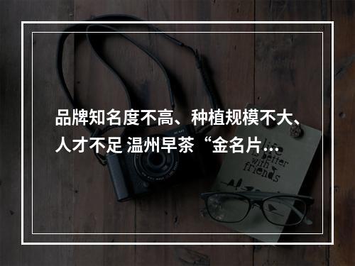 品牌知名度不高、种植规模不大、人才不足 温州早茶“金名片”如何再擦亮？