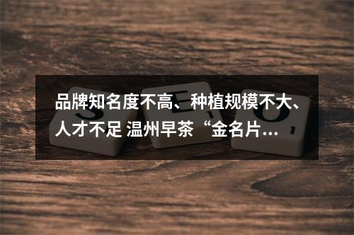 品牌知名度不高、种植规模不大、人才不足 温州早茶“金名片”如何再擦亮？