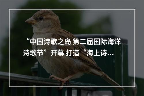 “中国诗歌之岛 第二届国际海洋诗歌节”开幕 打造“海上诗路”启航地