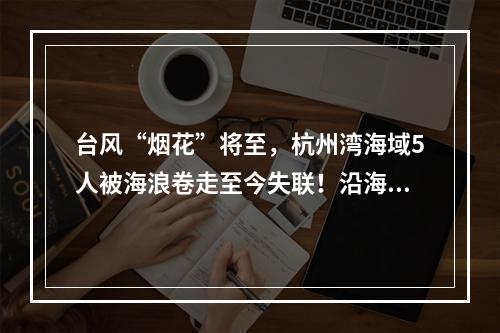 台风“烟花”将至，杭州湾海域5人被海浪卷走至今失联！沿海目前风浪有多大 ...