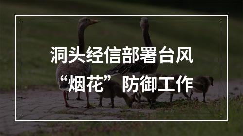 洞头经信部署台风“烟花”防御工作