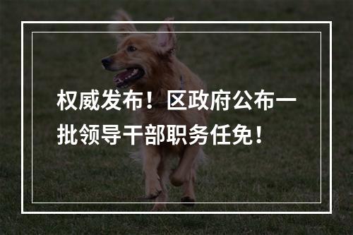 权威发布！区政府公布一批领导干部职务任免！
