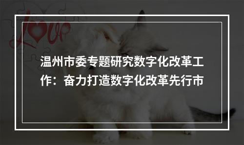 温州市委专题研究数字化改革工作：奋力打造数字化改革先行市