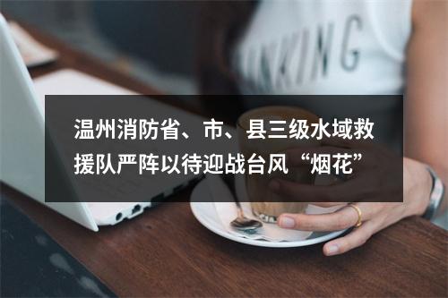 温州消防省、市、县三级水域救援队严阵以待迎战台风“烟花”