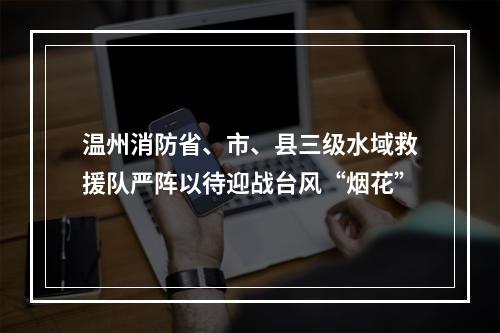 温州消防省、市、县三级水域救援队严阵以待迎战台风“烟花”