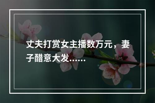 丈夫打赏女主播数万元，妻子醋意大发......