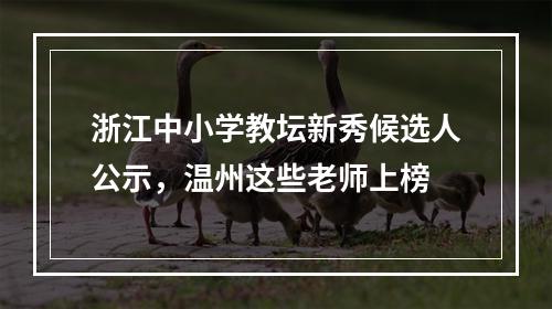 浙江中小学教坛新秀候选人公示，温州这些老师上榜