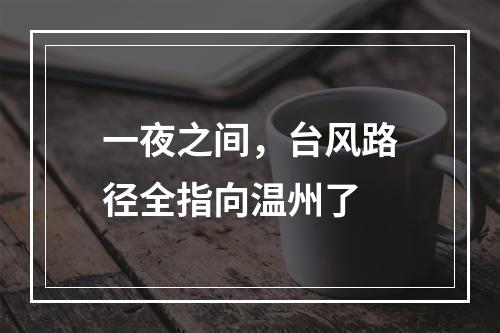 一夜之间，台风路径全指向温州了