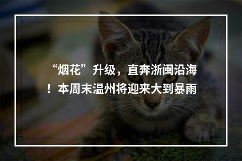 “烟花”升级，直奔浙闽沿海！本周末温州将迎来大到暴雨
