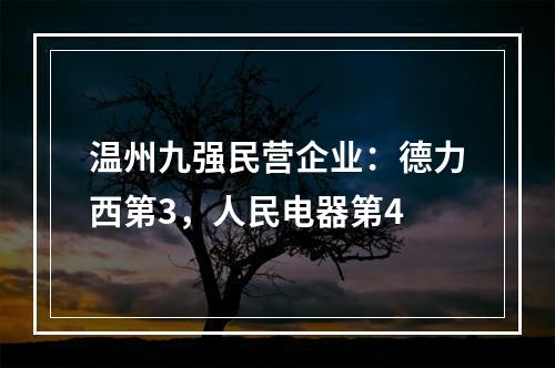 温州九强民营企业：德力西第3，人民电器第4