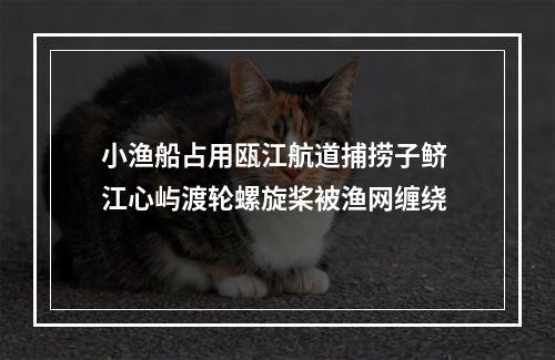 小渔船占用瓯江航道捕捞子鲚 江心屿渡轮螺旋桨被渔网缠绕