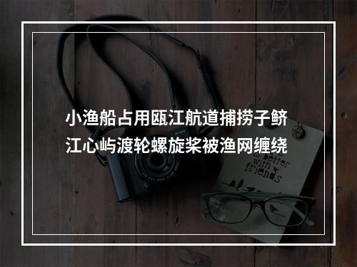 小渔船占用瓯江航道捕捞子鲚 江心屿渡轮螺旋桨被渔网缠绕