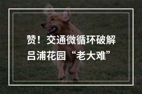 赞！交通微循环破解吕浦花园“老大难”