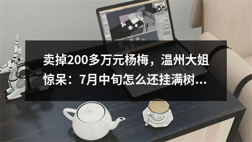 卖掉200多万元杨梅，温州大姐惊呆：7月中旬怎么还挂满树？太甜了！