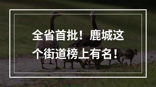 全省首批！鹿城这个街道榜上有名！