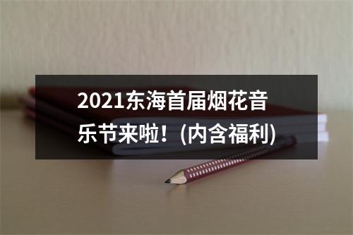 2021东海首届烟花音乐节来啦！(内含福利)