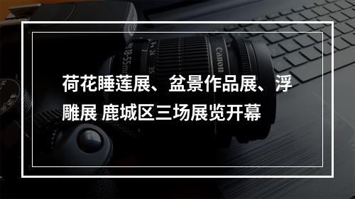 荷花睡莲展、盆景作品展、浮雕展 鹿城区三场展览开幕
