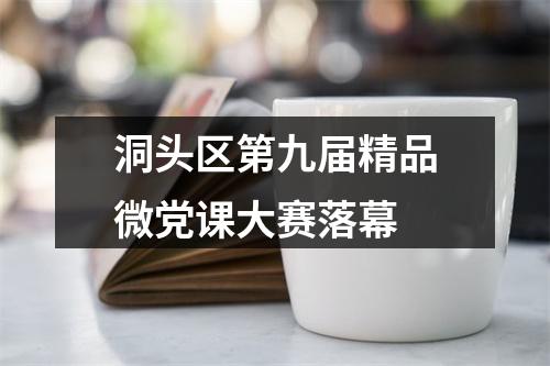 洞头区第九届精品微党课大赛落幕