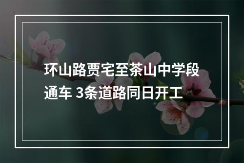 环山路贾宅至茶山中学段通车 3条道路同日开工