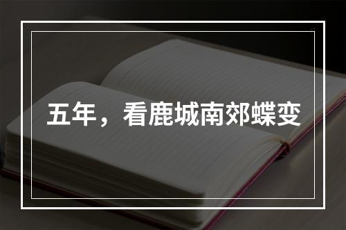 五年，看鹿城南郊蝶变