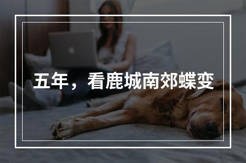 五年，看鹿城南郊蝶变
