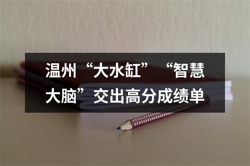 温州“大水缸”“智慧大脑”交出高分成绩单