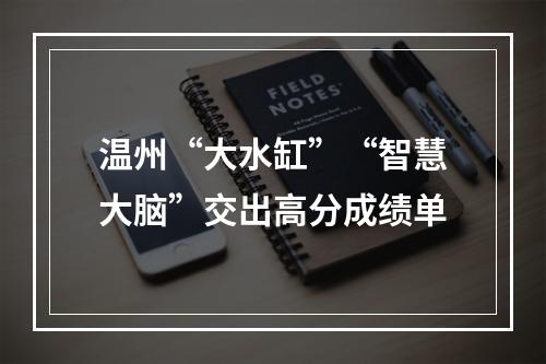 温州“大水缸”“智慧大脑”交出高分成绩单
