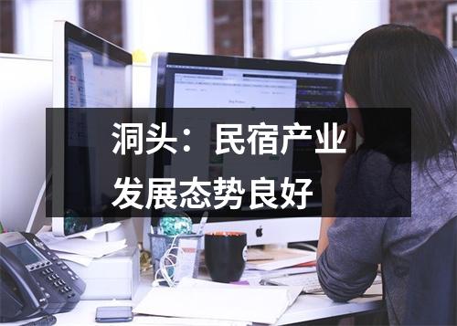 洞头：民宿产业发展态势良好