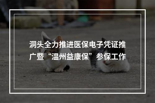 洞头全力推进医保电子凭证推广暨“温州益康保”参保工作
