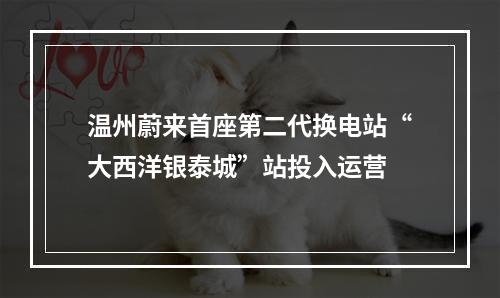 温州蔚来首座第二代换电站“大西洋银泰城”站投入运营