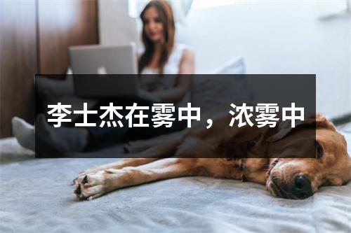 李士杰在雾中，浓雾中