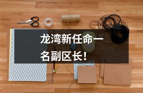 龙湾新任命一名副区长！