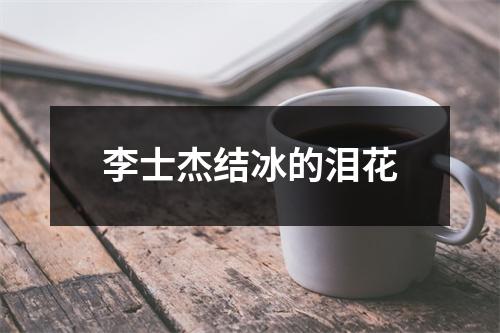 李士杰结冰的泪花