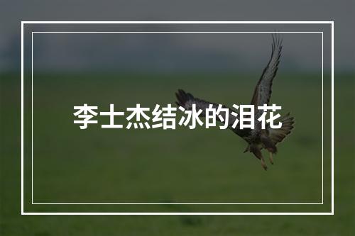 李士杰结冰的泪花