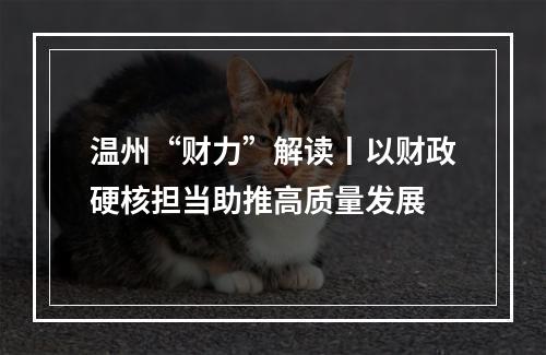 温州“财力”解读丨以财政硬核担当助推高质量发展