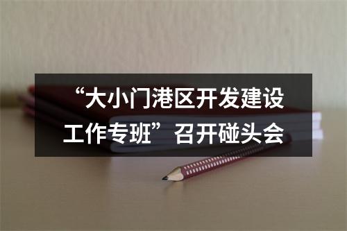 “大小门港区开发建设工作专班”召开碰头会