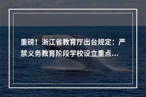 重磅！浙江省教育厅出台规定：严禁义务教育阶段学校设立重点班、快慢班
