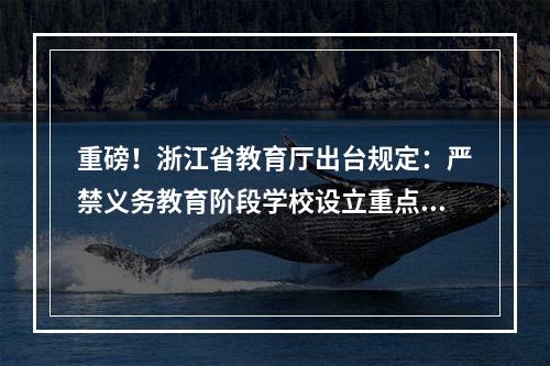 重磅！浙江省教育厅出台规定：严禁义务教育阶段学校设立重点班、快慢班