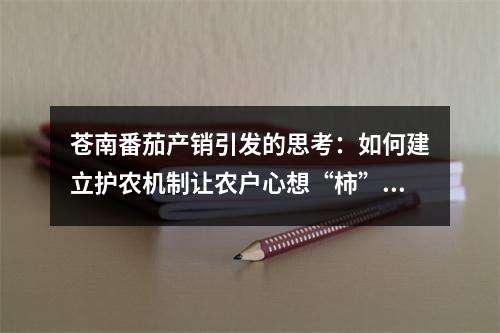 苍南番茄产销引发的思考：如何建立护农机制让农户心想“柿”成