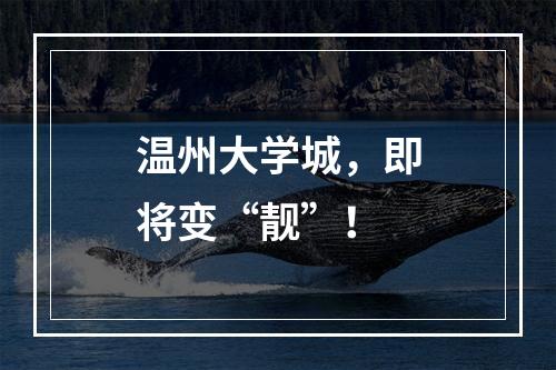 温州大学城，即将变“靓”！