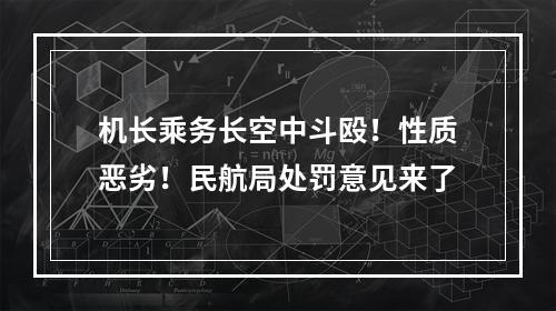 机长乘务长空中斗殴！性质恶劣！民航局处罚意见来了