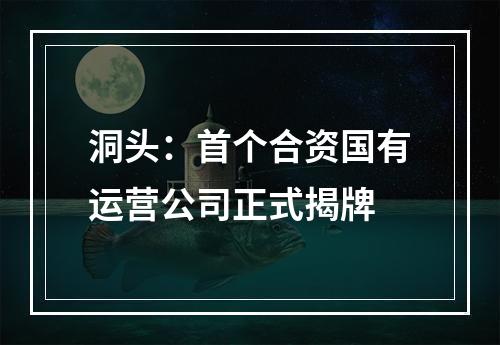 洞头：首个合资国有运营公司正式揭牌