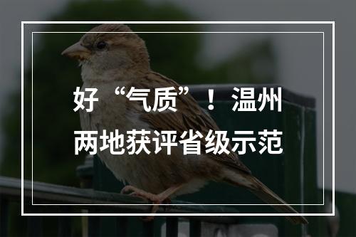 好“气质”！温州两地获评省级示范